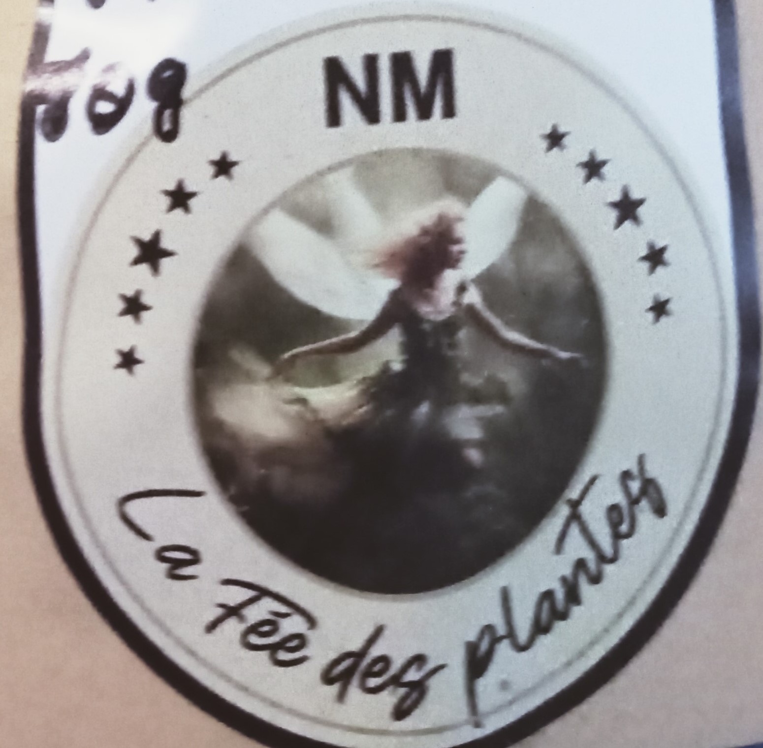 Thé vert nm 10 g