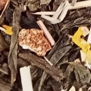 Thé Mojito Bio