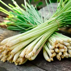 Thé à la citronnelle